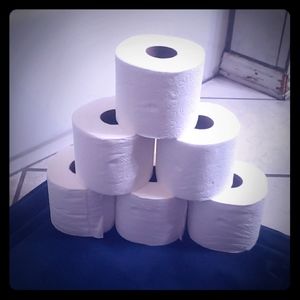6 rolls of good fluffy good unused toilet pt!!!